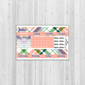 Big Happy Planner Monthly - Peaches and Green - customizable monthly