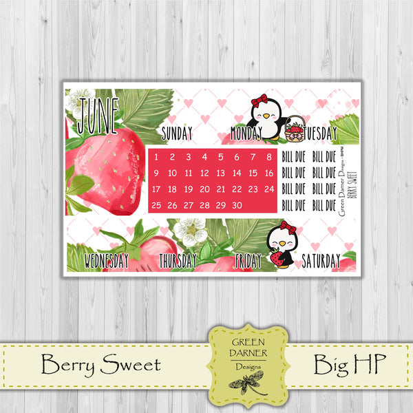 Load image into Gallery viewer, Big Happy Planner Monthly - Berry Sweet - Pearl the Penguin - customizable monthly
