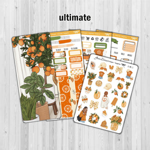 Tangerine - Hobonichi Weeks decorative weekly planner sticker kit