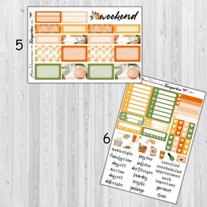 Tangerine - standard vertical/Erin Condren weekly planner sticker kit