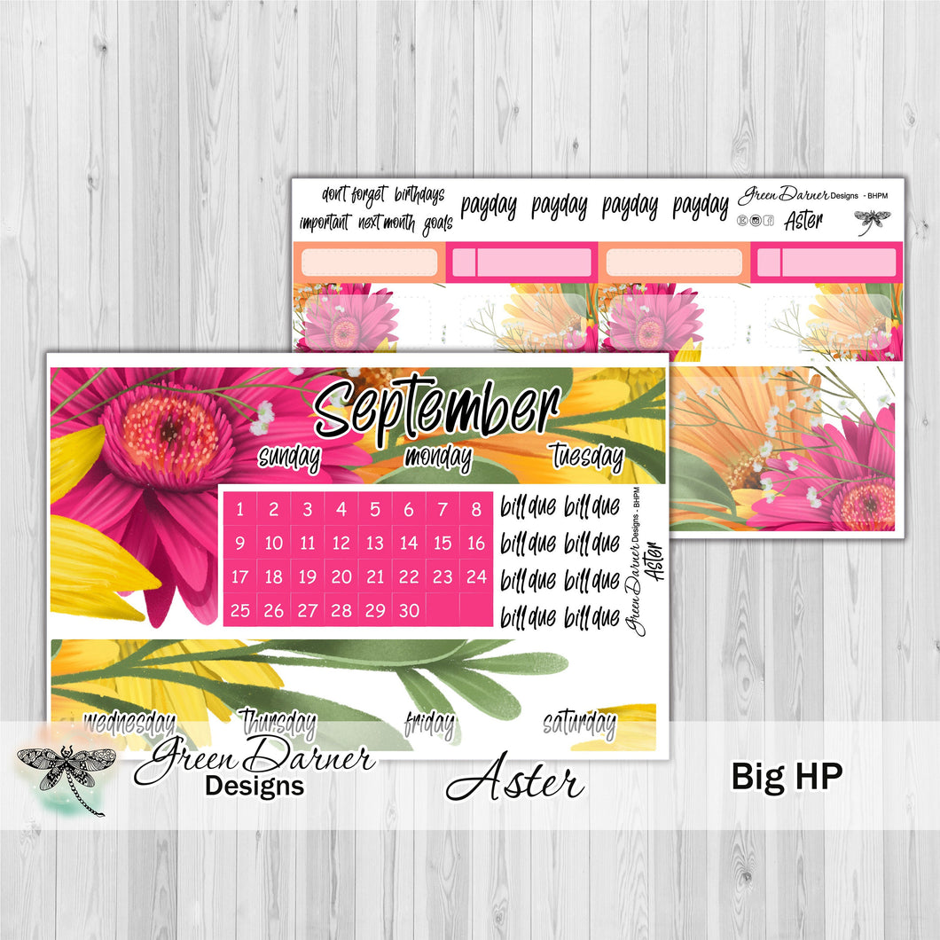 Big Happy Planner Monthly - Aster - customizable monthly